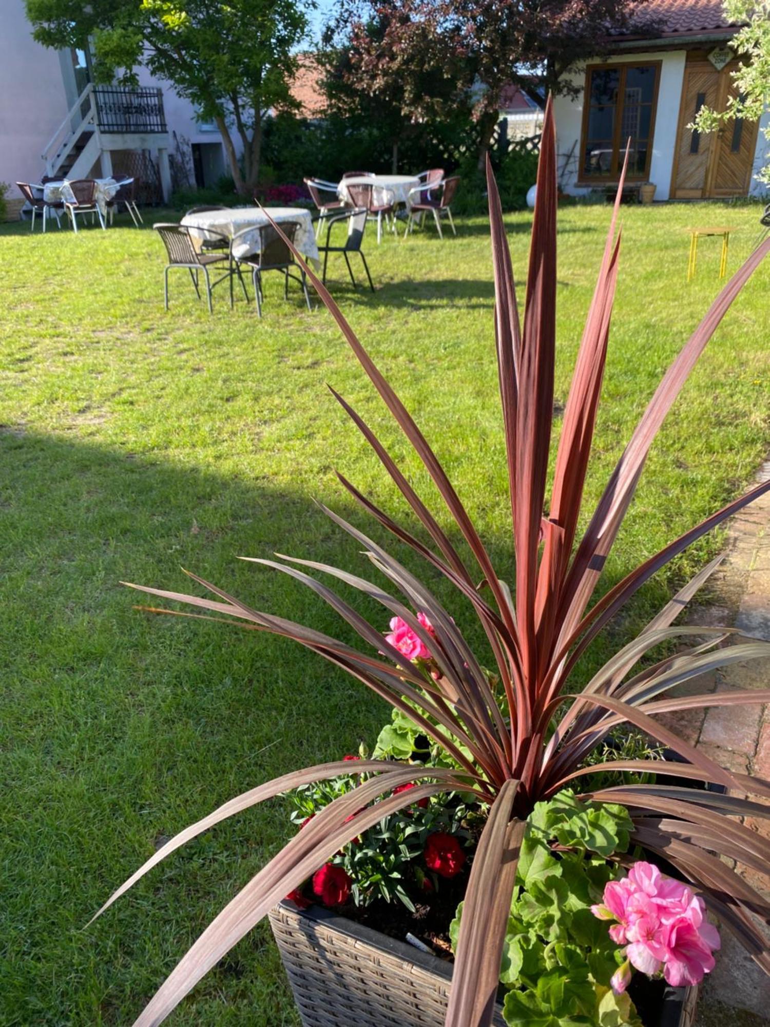 Guest House Wiejska Sielanka Brody  Exterior foto
